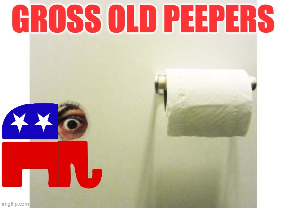 Bathroom Peeping Tom | GROSS OLD PEEPERS | image tagged in bathroom peeping tom | made w/ Imgflip meme maker