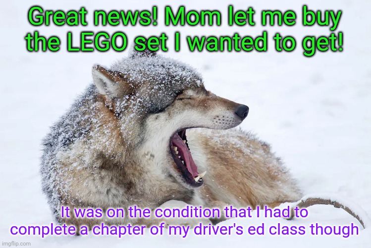 Expect me to be less active than I already am tomorrow | Great news! Mom let me buy the LEGO set I wanted to get! It was on the condition that I had to complete a chapter of my driver's ed class though | image tagged in yawning wolf | made w/ Imgflip meme maker