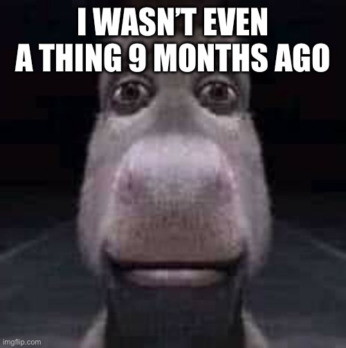 Donkey staring | I WASN’T EVEN A THING 9 MONTHS AGO | image tagged in donkey staring | made w/ Imgflip meme maker