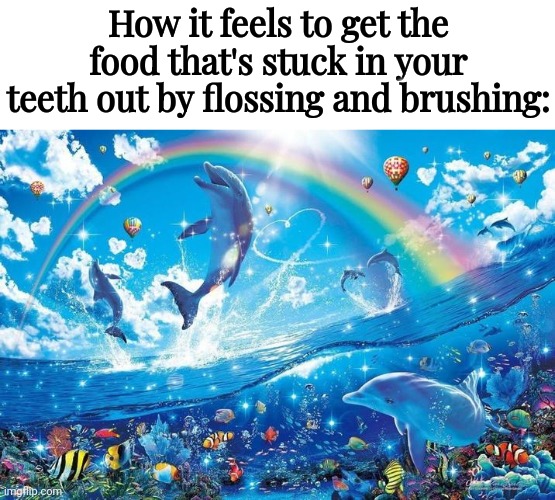 Flossing and brushing teeth | How it feels to get the food that's stuck in your teeth out by flossing and brushing: | image tagged in happy dolphin rainbow,floss,brush,teeth,memes,tooth | made w/ Imgflip meme maker