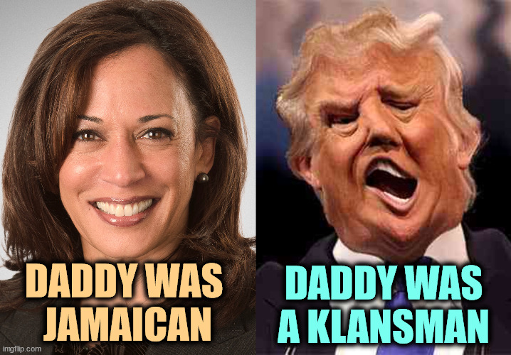 Kamala normal, DonOld abnormal | DADDY WAS 
JAMAICAN; DADDY WAS A KLANSMAN | image tagged in kamala harris sane donald trump crazy on acid,kamala harris,normal,jamaican,trump,abnormal | made w/ Imgflip meme maker