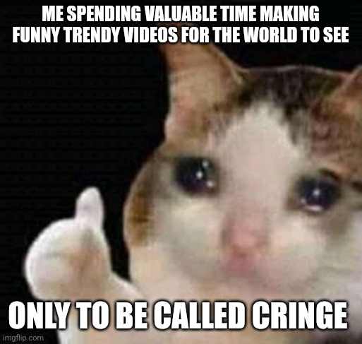 sad thumbs up cat | ME SPENDING VALUABLE TIME MAKING FUNNY TRENDY VIDEOS FOR THE WORLD TO SEE; ONLY TO BE CALLED CRINGE | image tagged in sad thumbs up cat | made w/ Imgflip meme maker