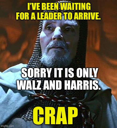 The DNC has picked their champions | I’VE BEEN WAITING FOR A LEADER TO ARRIVE. SORRY IT IS ONLY WALZ AND HARRIS. CRAP | image tagged in you have chosen wisely | made w/ Imgflip meme maker