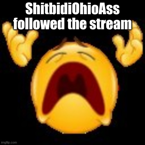 fuuuuuuuuuuu | ShitbidiOhioAss followed the stream | image tagged in crying emoji | made w/ Imgflip meme maker