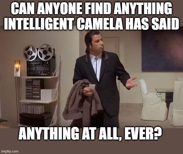 she has never said anything intelligent.. ever | CAN ANYONE FIND ANYTHING INTELLIGENT CAMELA HAS SAID; ANYTHING AT ALL, EVER? | image tagged in confused man,stupid liberals,funny memes,political humor,task failed successfully,donald trump approves | made w/ Imgflip meme maker