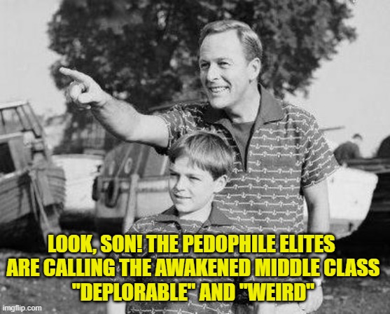 Look Son | LOOK, SON! THE PEDOPHILE ELITES 
ARE CALLING THE AWAKENED MIDDLE CLASS
"DEPLORABLE" AND "WEIRD" | image tagged in look son | made w/ Imgflip meme maker