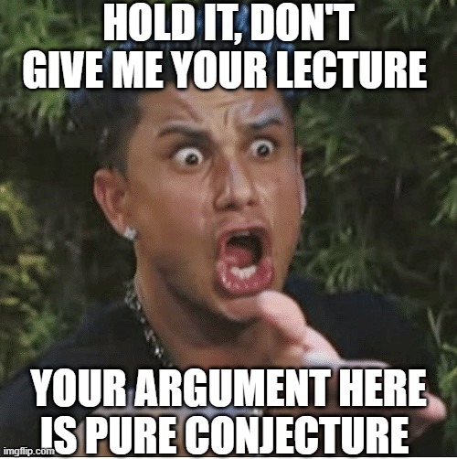 Guy shouting | HOLD IT, DON'T GIVE ME YOUR LECTURE YOUR ARGUMENT HERE IS PURE CONJECTURE | image tagged in guy shouting | made w/ Imgflip meme maker