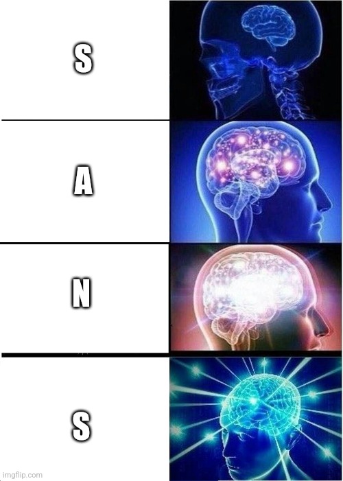 Expanding Brain | S; A; N; S | image tagged in memes,expanding brain | made w/ Imgflip meme maker