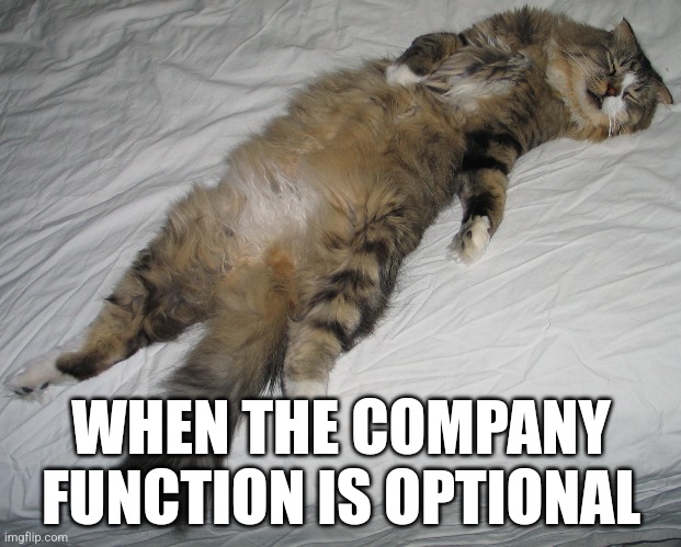 Sleep In | WHEN THE COMPANY FUNCTION IS OPTIONAL | image tagged in company,sleep,nope nope nope | made w/ Imgflip meme maker