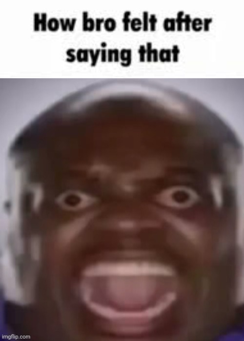 Dom ask what i searched to get that face | image tagged in how bro felt after saying that black guy screaming | made w/ Imgflip meme maker