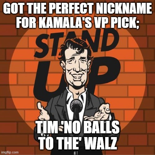 Going to be a busy little memer this election cycle. | GOT THE PERFECT NICKNAME FOR KAMALA'S VP PICK;; TIM 'NO BALLS TO THE' WALZ | image tagged in stand up comedian,politics,political humor | made w/ Imgflip meme maker