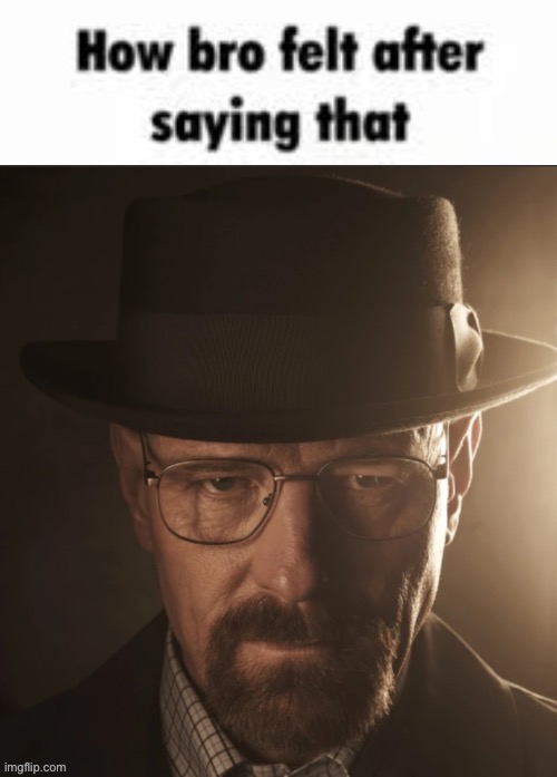 How bro felt after saying that Walter White | image tagged in how bro felt after saying that walter white | made w/ Imgflip meme maker