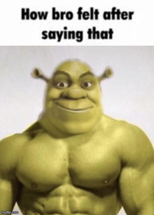 How bro felt after saying that buff Shrek Blank Meme Template