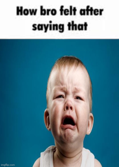 How bro felt after saying that (Baby crying) Blank Meme Template