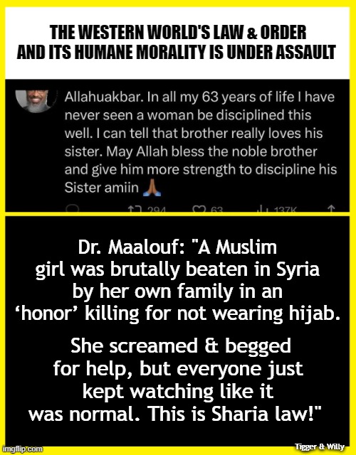 THE WESTERN WORLD'S LAW & ORDER AND ITS HUMANE MORALITY IS UNDER ASSAULT; Dr. Maalouf: "A Muslim girl was brutally beaten in Syria by her own family in an ‘honor’ killing for not wearing hijab. She screamed & begged for help, but everyone just kept watching like it was normal. This is Sharia law!"; Tigger & Willy | made w/ Imgflip meme maker