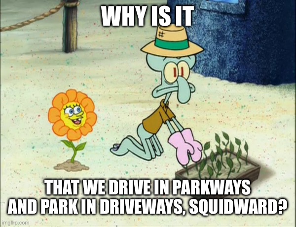 5 Days until I leave | WHY IS IT; THAT WE DRIVE IN PARKWAYS AND PARK IN DRIVEWAYS, SQUIDWARD? | image tagged in spongebob flower | made w/ Imgflip meme maker