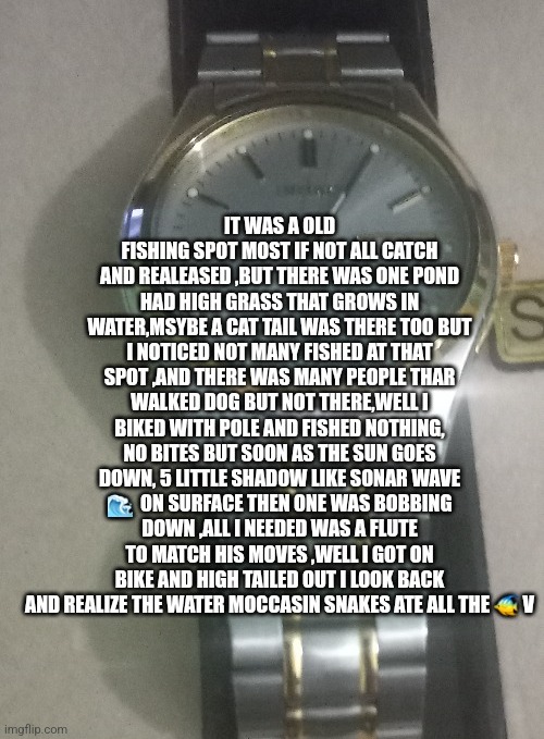 Fishing story | image tagged in fish,readershighgest,reelstory,fishline | made w/ Imgflip meme maker