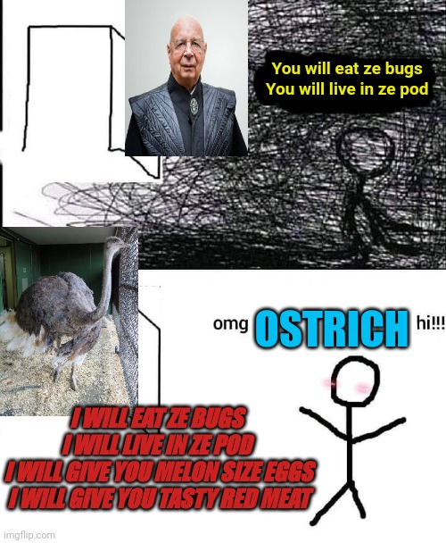 OMG hi | You will eat ze bugs 
You will live in ze pod; OSTRICH; I WILL EAT ZE BUGS 
I WILL LIVE IN ZE POD 
I WILL GIVE YOU MELON SIZE EGGS
I WILL GIVE YOU TASTY RED MEAT | image tagged in omg hi | made w/ Imgflip meme maker