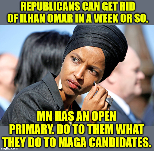 Time to fight fire with fire... | REPUBLICANS CAN GET RID OF ILHAN OMAR IN A WEEK OR SO. MN HAS AN OPEN PRIMARY. DO TO THEM WHAT THEY DO TO MAGA CANDIDATES. | image tagged in ilhan omar,vote her out | made w/ Imgflip meme maker