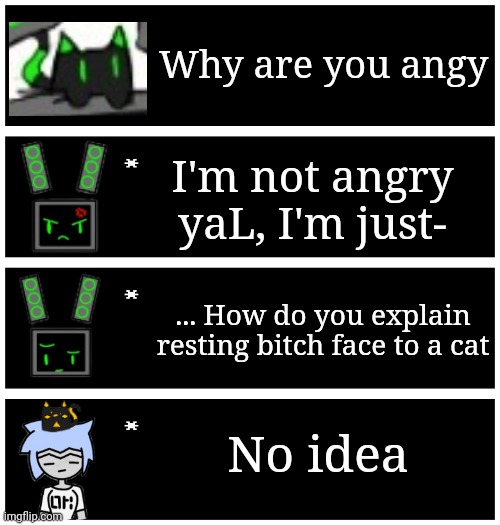 There aren't many images of yaL lol | Why are you angy; I'm not angry yaL, I'm just-; ... How do you explain resting bitch face to a cat; No idea | image tagged in 4 undertale textboxes | made w/ Imgflip meme maker