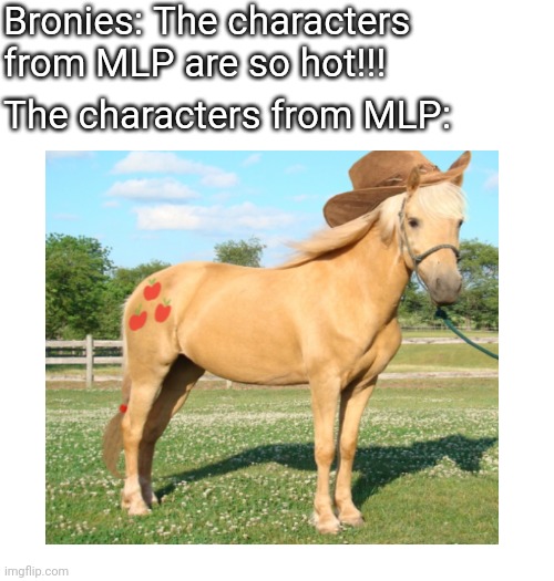 Bronies sure love horses!!!: | Bronies: The characters from MLP are so hot!!! The characters from MLP: | image tagged in anti furry,brony,wtf | made w/ Imgflip meme maker