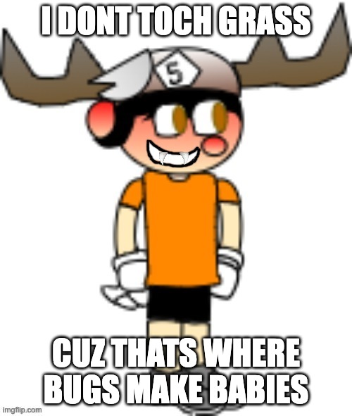 I DONT TOCH GRASS; CUZ THATS WHERE BUGS MAKE BABIES | image tagged in smg5 smile credit goes to sth4 | made w/ Imgflip meme maker