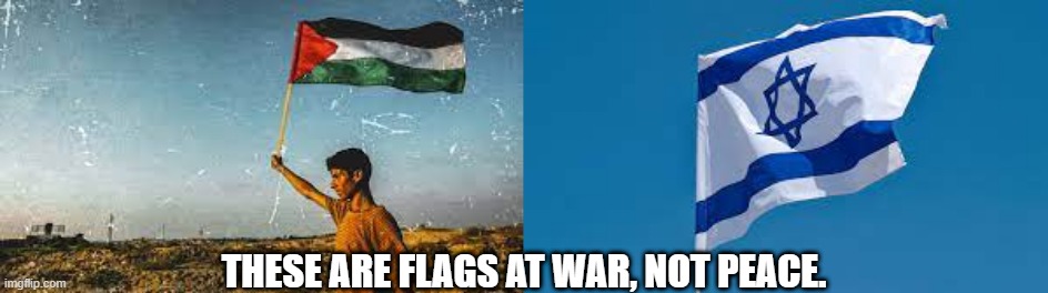 If you want peace, its best not to fly WAR flags. | THESE ARE FLAGS AT WAR, NOT PEACE. | image tagged in isral,palestine,israel,war | made w/ Imgflip meme maker