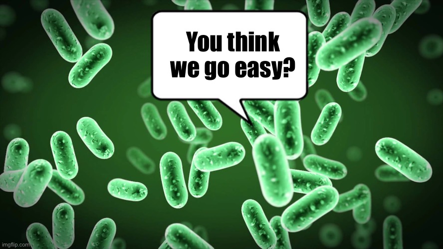 Green Bacteria | You think we go easy? | image tagged in green bacteria | made w/ Imgflip meme maker