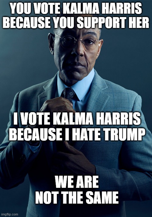 Gus Fring we are not the same | YOU VOTE KALMA HARRIS BECAUSE YOU SUPPORT HER; I VOTE KALMA HARRIS BECAUSE I HATE TRUMP; WE ARE NOT THE SAME | image tagged in gus fring we are not the same | made w/ Imgflip meme maker