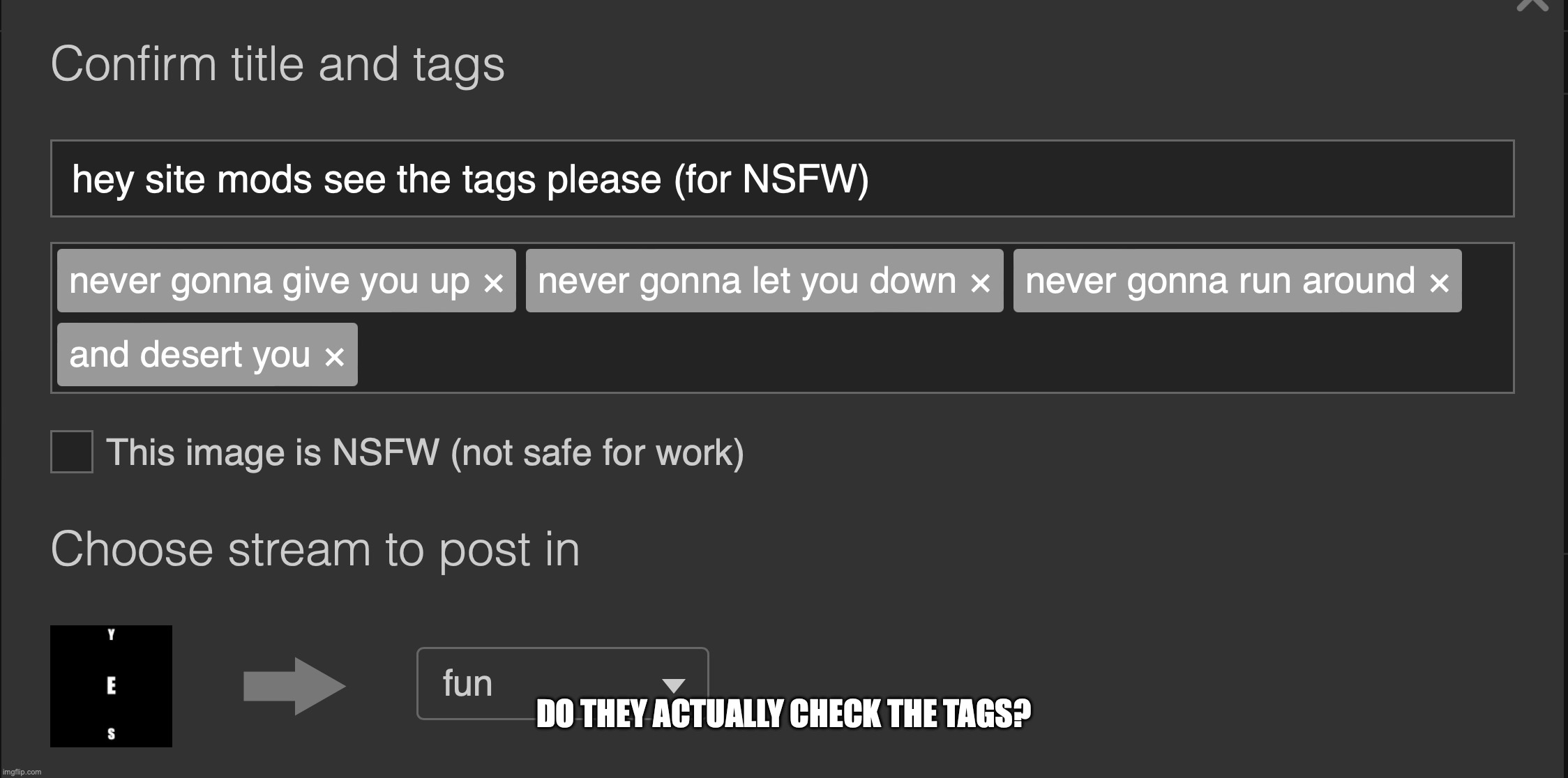 tags | DO THEY ACTUALLY CHECK THE TAGS? | image tagged in never gonna give you up,never gonna let you down,never gonna run around,and desert you | made w/ Imgflip meme maker