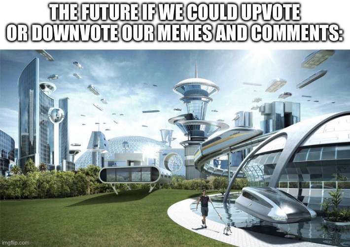 It’s prob never gonna happen though | THE FUTURE IF WE COULD UPVOTE OR DOWNVOTE OUR MEMES AND COMMENTS: | image tagged in the future world if,memes,upvotes,downvotes,comments,imgflip | made w/ Imgflip meme maker