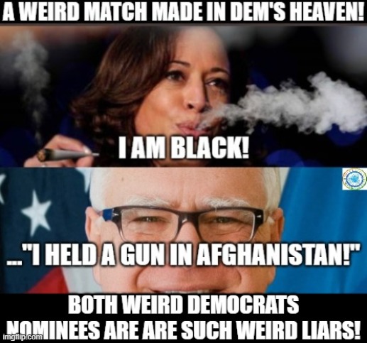 politics | image tagged in political meme | made w/ Imgflip meme maker