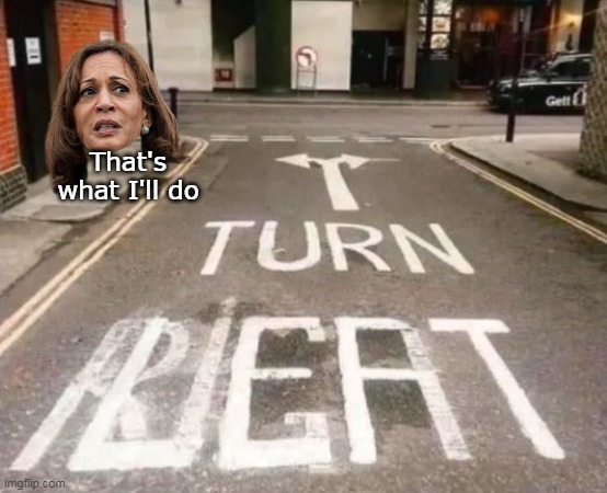Latest direction for Harris Camp | That's what I'll do | image tagged in kamala left right meme | made w/ Imgflip meme maker