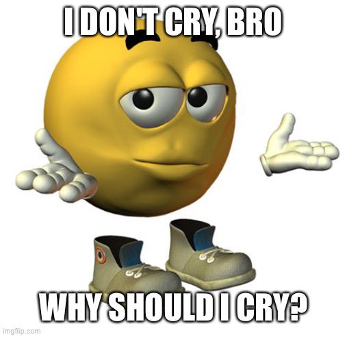 Yellow Emoji Face | I DON'T CRY, BRO WHY SHOULD I CRY? | image tagged in yellow emoji face | made w/ Imgflip meme maker