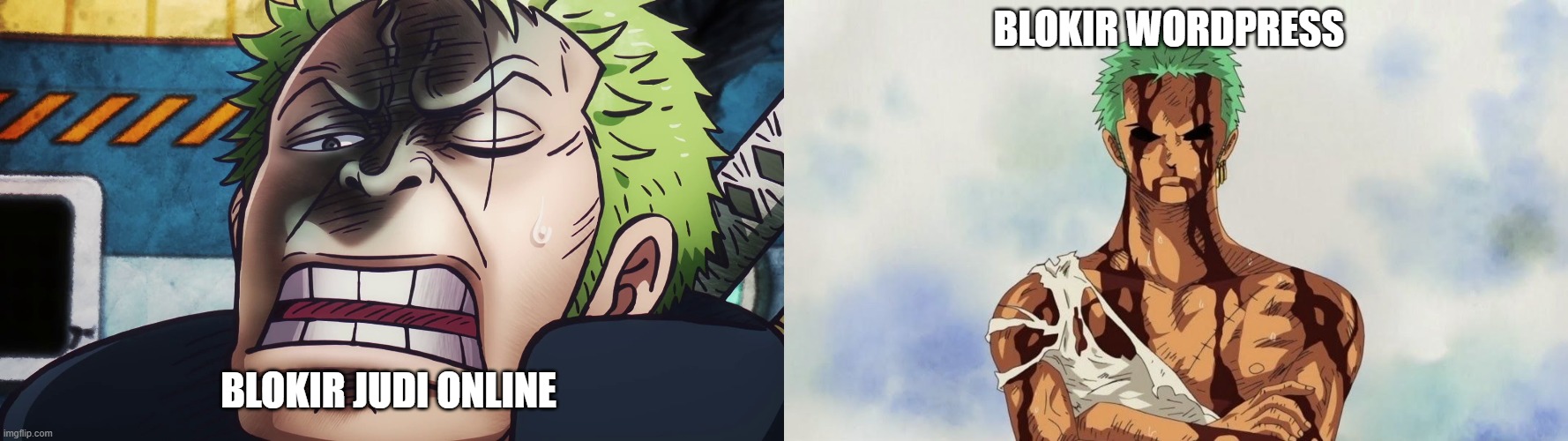 BLOKIR WORDPRESS; BLOKIR JUDI ONLINE | image tagged in live zoro reaction egghead edition,zoro | made w/ Imgflip meme maker