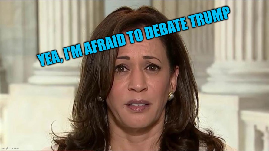 Chicken Kamala | YEA, I'M AFRAID TO DEBATE TRUMP | image tagged in kamala harris | made w/ Imgflip meme maker