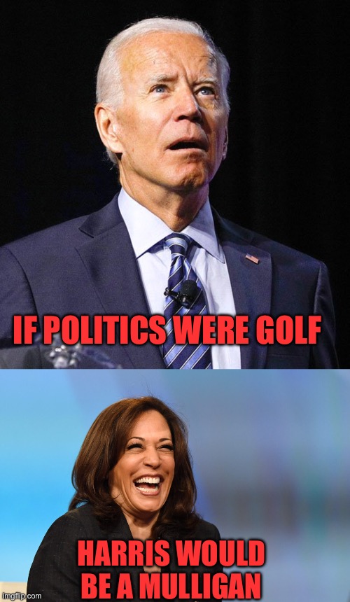 Do overs are for children. | IF POLITICS WERE GOLF; HARRIS WOULD BE A MULLIGAN | image tagged in joe biden,kamala harris laughing,golf,mulligan,do overs | made w/ Imgflip meme maker