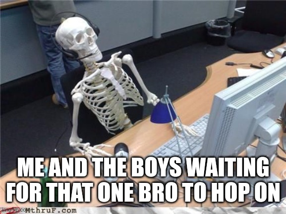 Me and the boys | ME AND THE BOYS WAITING FOR THAT ONE BRO TO HOP ON | image tagged in skeleton computer | made w/ Imgflip meme maker