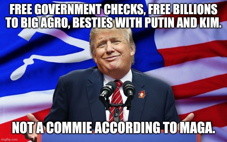 Commie Donnie | FREE GOVERNMENT CHECKS, FREE BILLIONS TO BIG AGRO, BESTIES WITH PUTIN AND KIM. NOT A COMMIE ACCORDING TO MAGA. | image tagged in conservative,republican,nevertrump,kamala harris,maga,trump | made w/ Imgflip meme maker