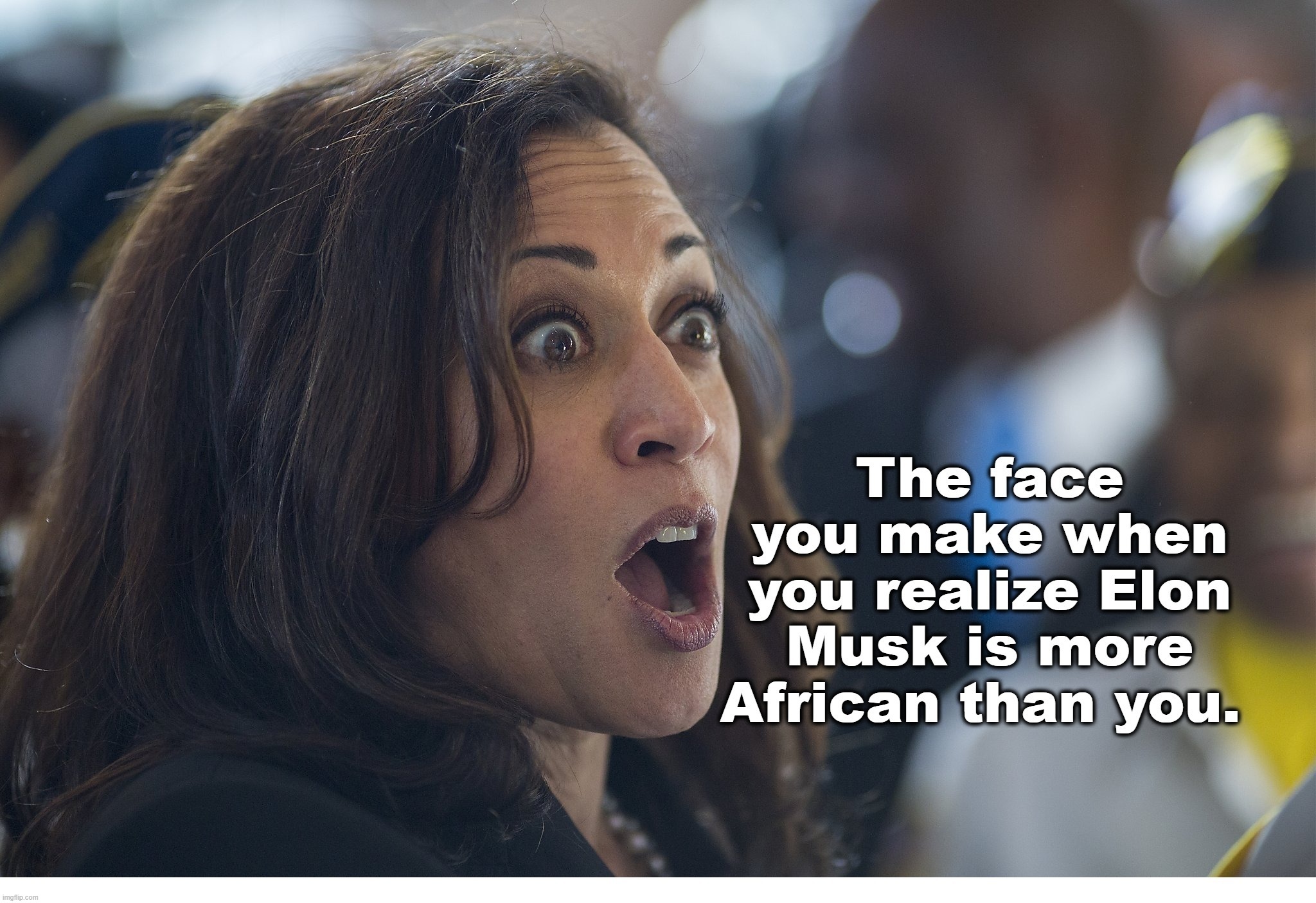 The face you make when you realize Elon Musk is more African than you. | image tagged in kamala harris,bitch please,elon musk laughing,elon musk,african american,shit for brains | made w/ Imgflip meme maker