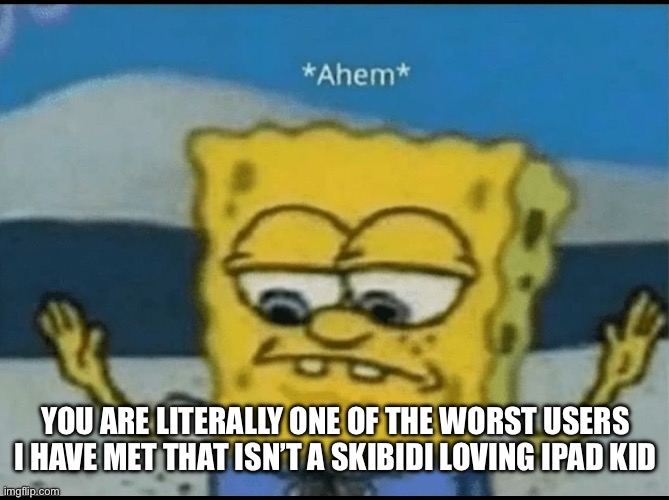 Ahem | YOU ARE LITERALLY ONE OF THE WORST USERS I HAVE MET THAT ISN’T A SKIBIDI LOVING IPAD KID | image tagged in ahem | made w/ Imgflip meme maker