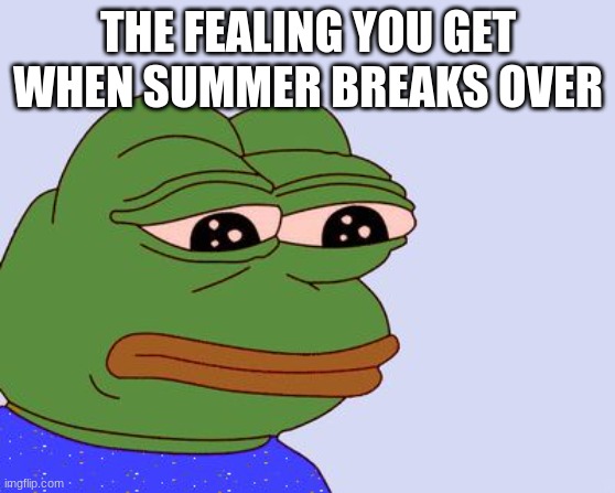 Pepe the Frog | THE FEALING YOU GET WHEN SUMMER BREAKS OVER | image tagged in pepe the frog | made w/ Imgflip meme maker