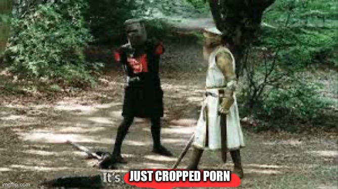 It's Just a Flesh Wound | JUST CROPPED PORN | image tagged in it's just a flesh wound | made w/ Imgflip meme maker