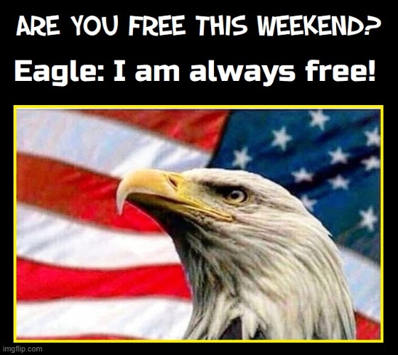 The Proud Symbol of America | image tagged in vince vance,american eagle,bald eagle,patriotism,freedom,memes | made w/ Imgflip meme maker