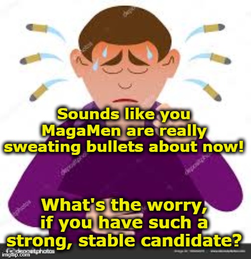 Sounds like you MagaMen are really sweating bullets about now! What's the worry, if you have such a strong, stable candidate? | made w/ Imgflip meme maker