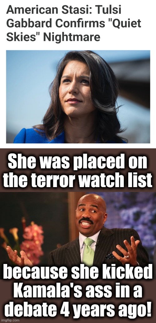 Enemies of the diversity hyena go on the terror watch list | She was placed on the terror watch list; because she kicked Kamala's ass in a
debate 4 years ago! | image tagged in memes,steve harvey,kamala harris,democrats,terror watch list,tulsi gabbard | made w/ Imgflip meme maker