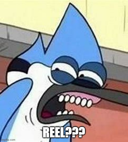 Eww mordecai | REEL??? | image tagged in eww mordecai | made w/ Imgflip meme maker