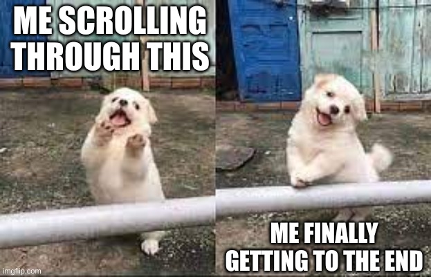 Wait! Stop scrolling! | ME SCROLLING THROUGH THIS ME FINALLY GETTING TO THE END | image tagged in wait stop scrolling | made w/ Imgflip meme maker