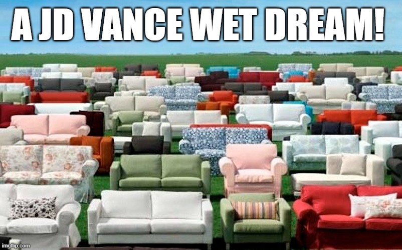 J.D. Vance is just plain weird! | A JD VANCE WET DREAM! | image tagged in jd vance,couch,wet dream,weird | made w/ Imgflip meme maker