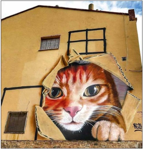 Just A Great Cat Mural | image tagged in cats,cadboard box,murals | made w/ Imgflip meme maker